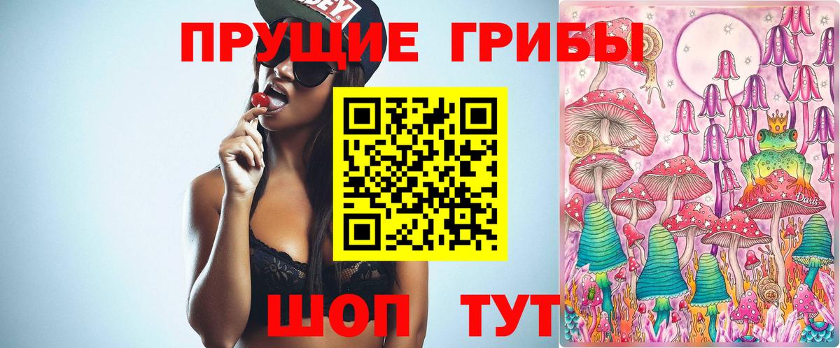 Галлюциногенные грибы MAGIC MUSHROOMS  Вход с VPN  Выкса  Псилоцибиновые грибы Psilocybine cubensis 
